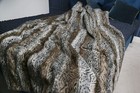 Bild 3 von 3