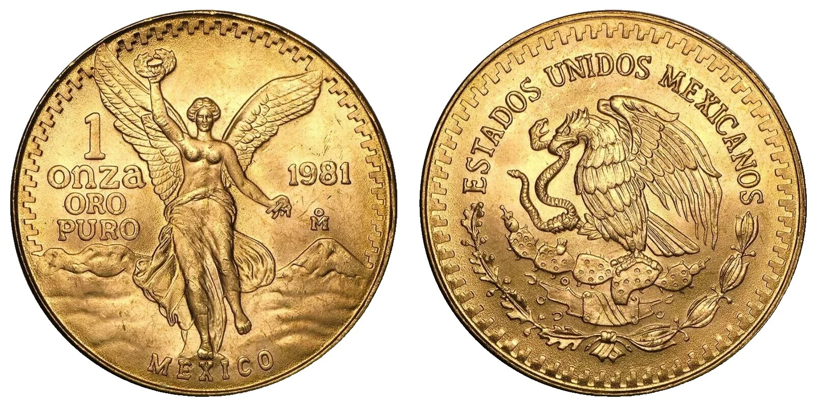 1981 Ungraded Gold Bullion Coins