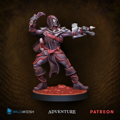 Fine Detailed DnD Miniatures RPG Tabletop Models wildmesh, retributors avenger p - Picture 14 of 19