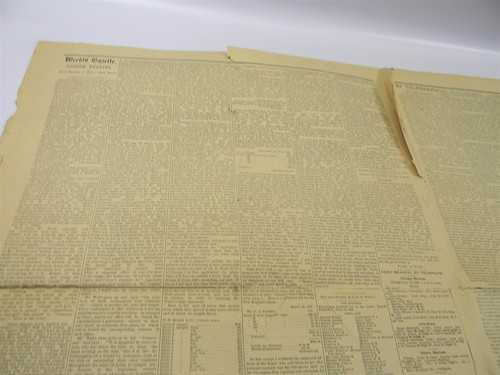 June 20 1889 The Cedar Rapids Weekly Gazette Newspaper - 8K - Picture 9 of 12
