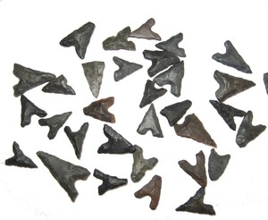 Neolithic-Tidikelt-bird-point-arrow-head-Berber-tribe-from-Algeria-one-per-bid