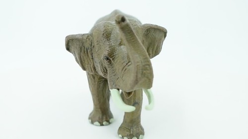 Bull Asian Elephant, Realistic Toy Figure, Model, Educational 7" CH469 BB152 - Video 1 von 1