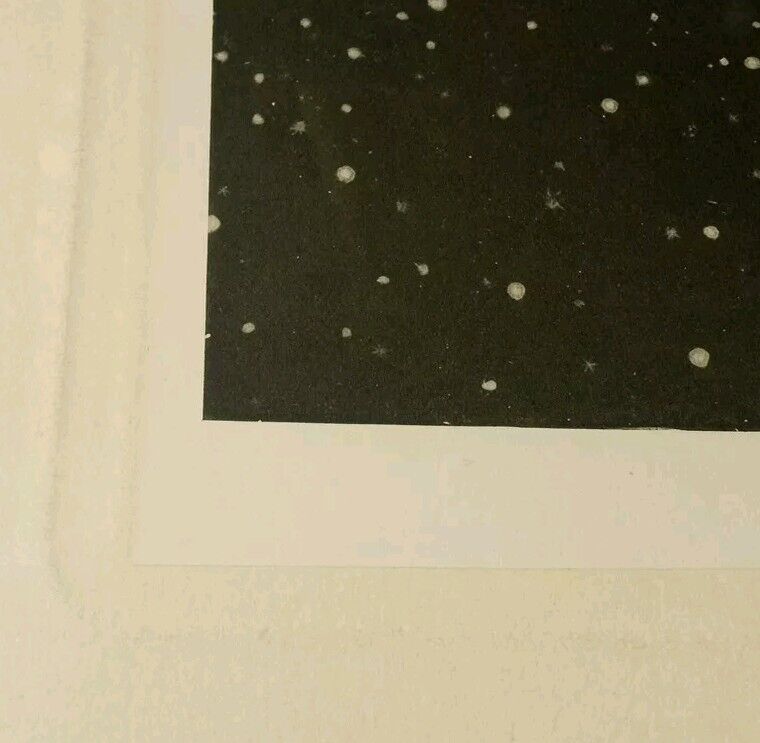 Picture 24 of 24