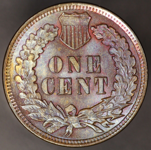 1902 INDIAN CENT FRESH FROM ORIGINAL COLLECTION TONED! -LOT AA-4750 - Picture 2 of 2