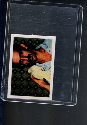 # 141 FRANK ZAPPA 1980 POP Festival