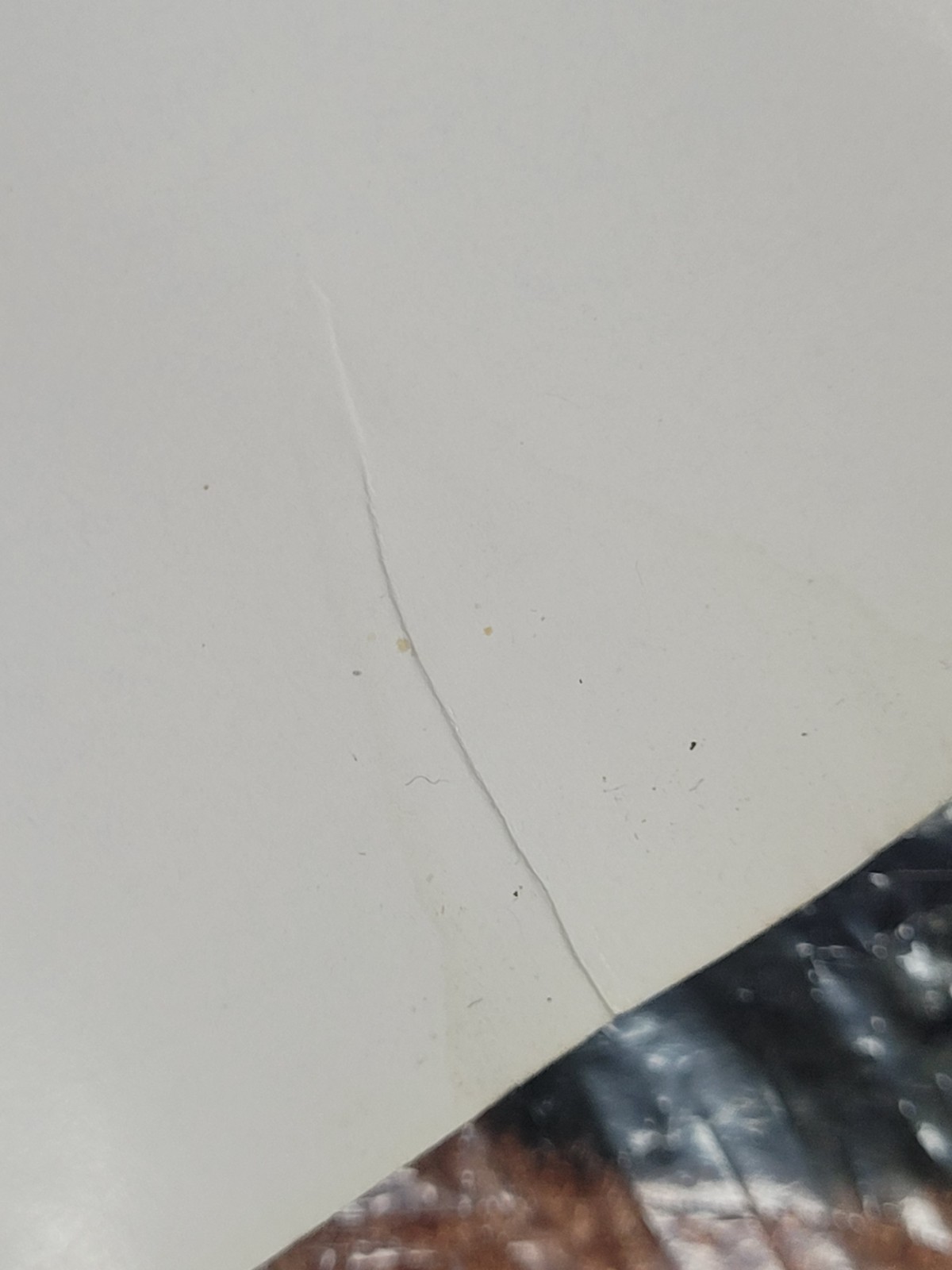 Picture 3 of 6