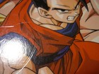 Foto 2 di 10