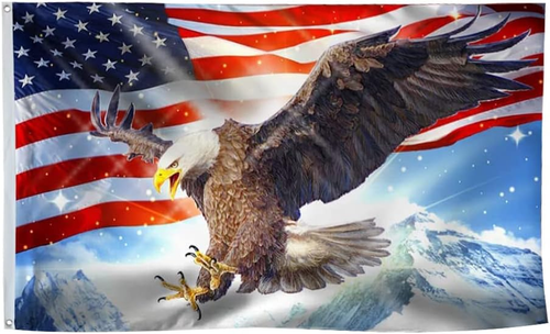 American Eagle Light Sky 3x5 Ft Flag - UV Fade Resistant Double Printed Polyeste - Picture 8 of 12