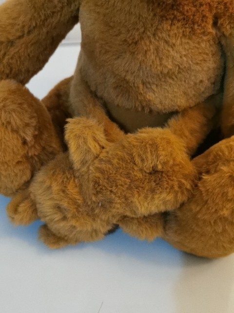 Picture 14 of 16