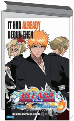 USED Nintendo DS Bleach The 3rd Phantom 10372 JAPAN IMPORT