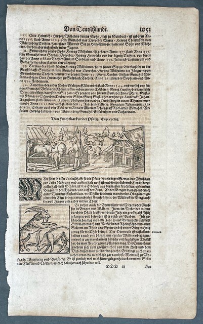 1628 Munster Antique Print Farming Animals Soil of Rhineland-Palatinate Germany 1628 Munster Antique Print Farming Animals Soil of Rhineland-Palatinate Germany