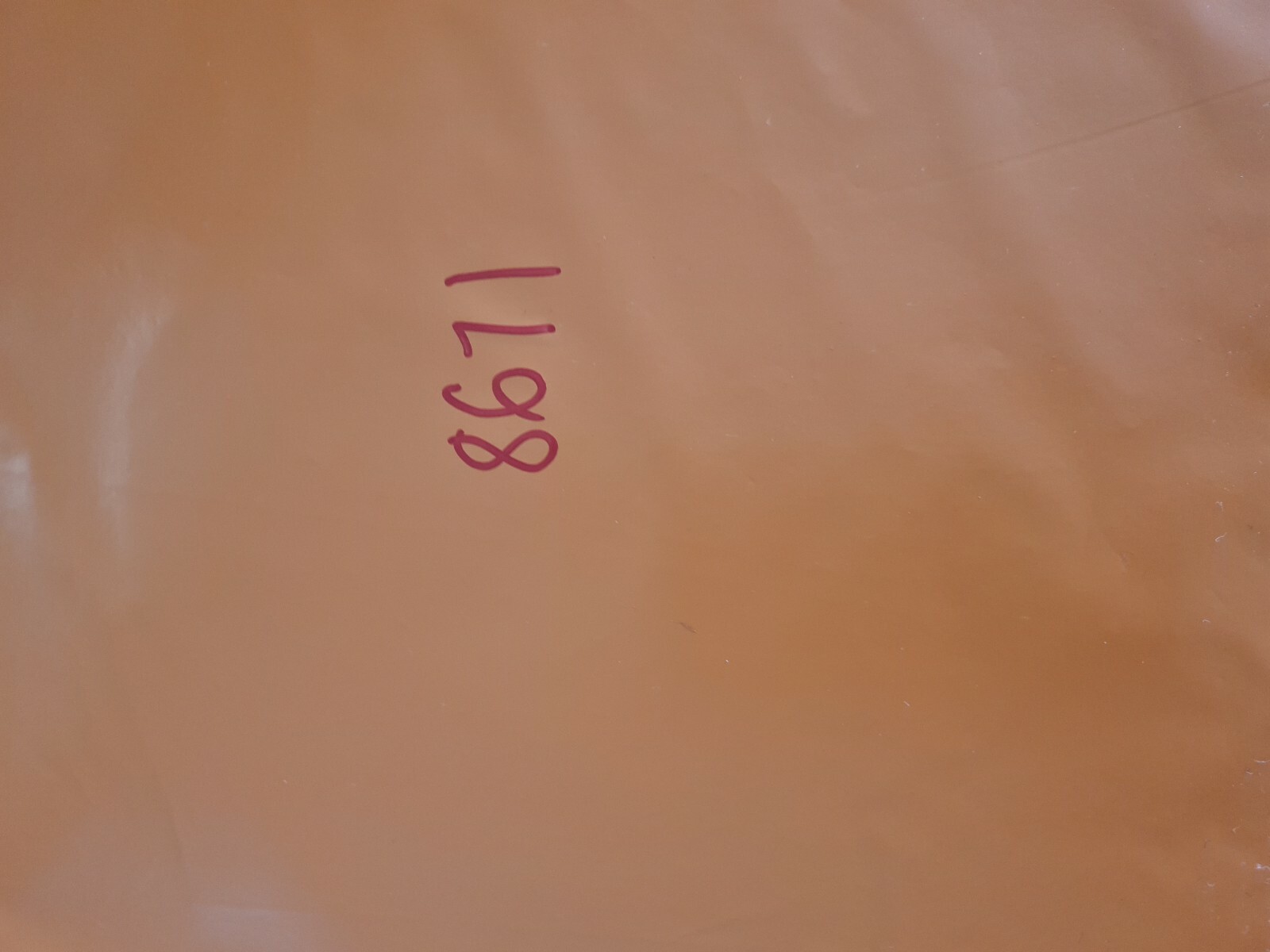Foto 10 di 10