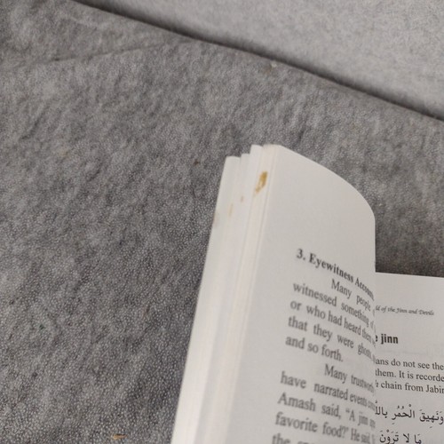 xWorld of the Jinn and Devils by Umar S. Al-Ashqar (1998, Trade Paperback) - Picture 7 of 8