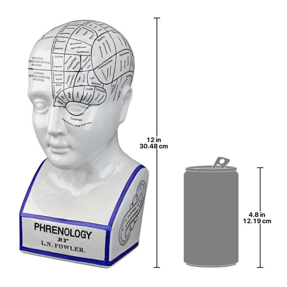 Porcelain Phrenology Statue - Scientific / Medical / Psychology - LN Fowler