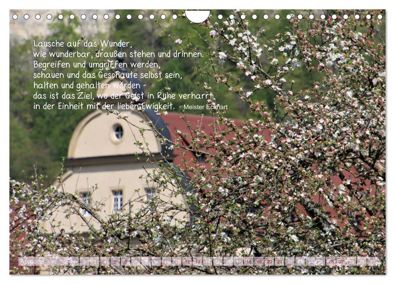 Bild 7 von 9