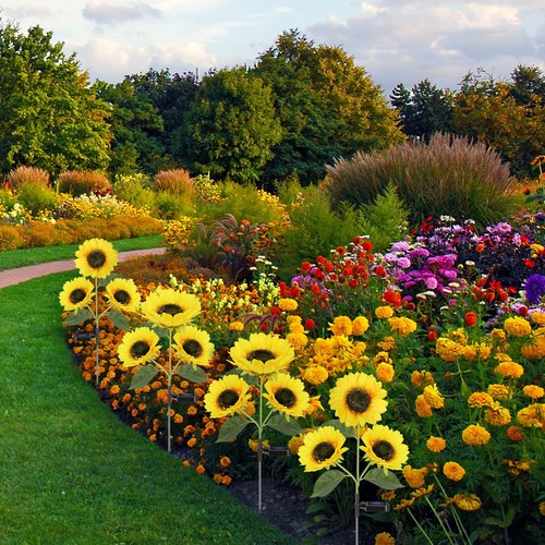 Solar Sunflower Lights, 800mA Solar Garden Light with Real Looking Flowers Ou... - Picture 7 of 8