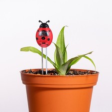 Testeur de sol , type pointeur…