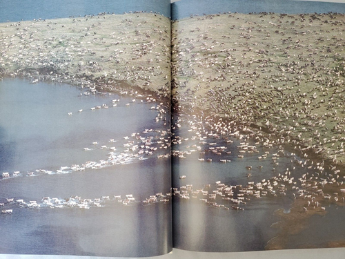 Audubon Nature Yearbook 1989 - Hardcover - Imagen 8 de 10