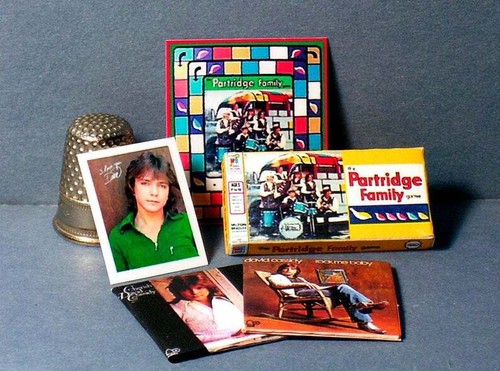 Puppenhaus Miniatur Maßstab 1:12 Rebhuhn Familienspiel & David Cassidy Set Alben - Bild 5 von 5