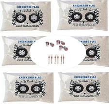 6-6oz bags Tire Balancing Beads includes 6 ounce Balance Bags by Checkered Flag