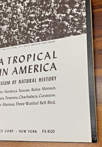 Vtg 1960 Sounds Of a Tropical Rain Forest in America Vinyl LP Folkways Records - Picture 3 of 12