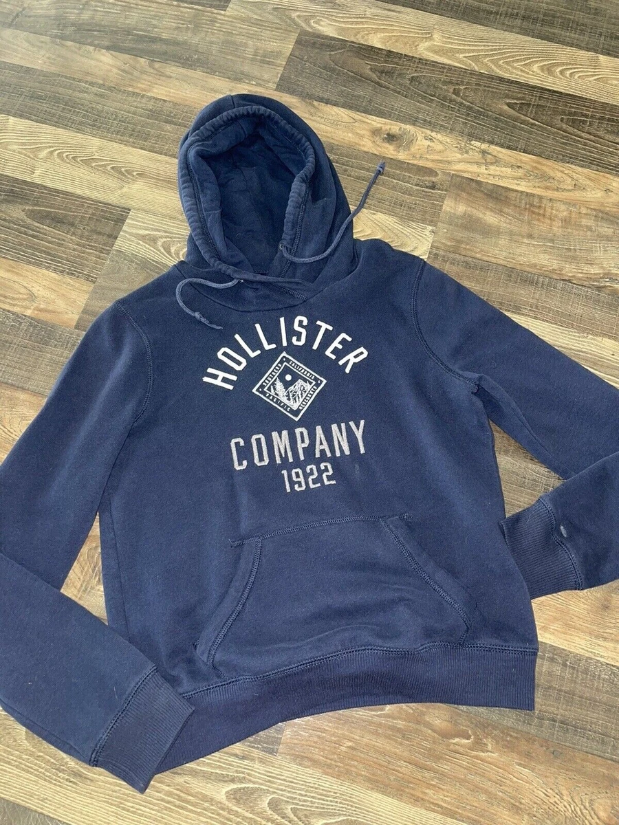 Hollister navy blue hoodie sales