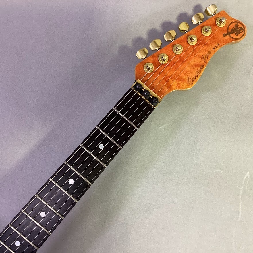 Valley Arts Custom Pro Kahler Gold Hardware USA TL Type Solid