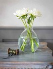 Large Round Flower Vase, Clear Glass Bud Stem Bouquet Bulb Vase, Roll Neck Vase