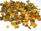 Lot of Baltic Amber Stones Small Multicolor Natural Genuine Gemstones 0970