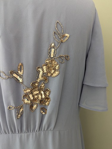 Monsoon Kendra Pale Blue Gold Hand Embellished Chiffon Maxi Dress Size 20 - Picture 15 of 24