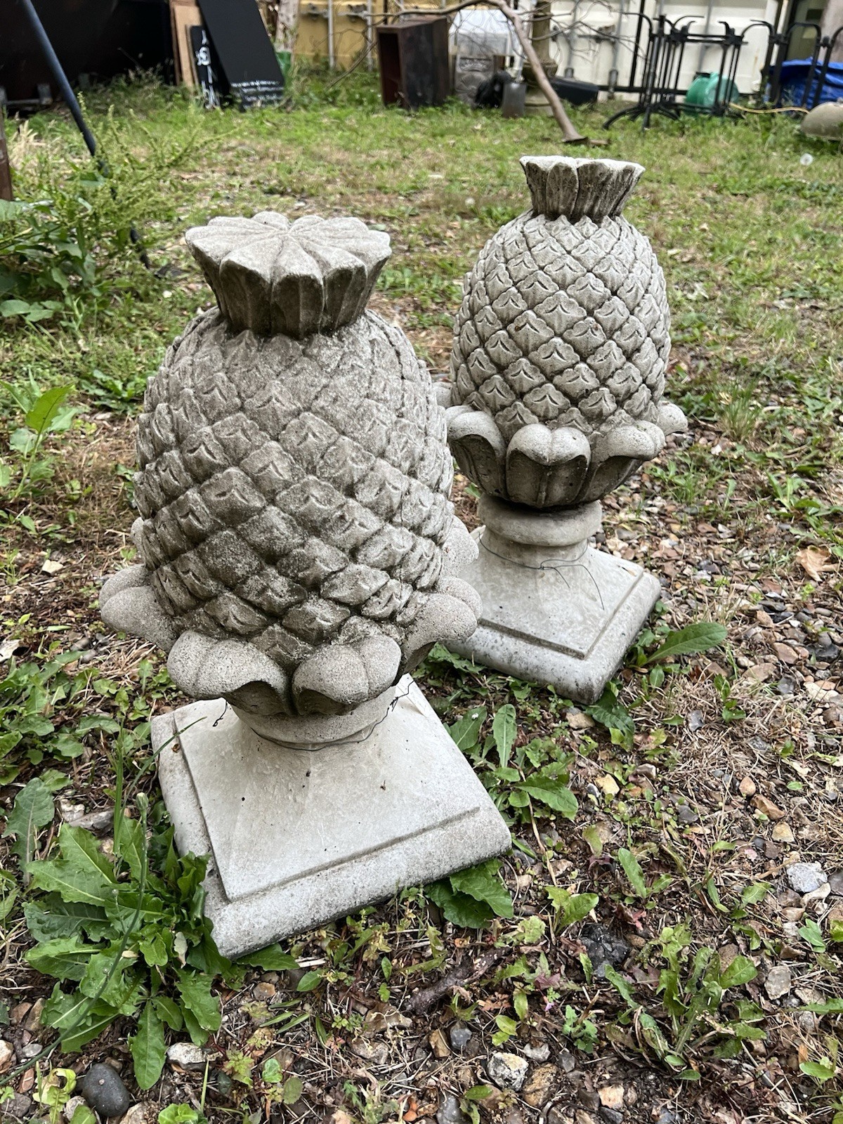 Picture 7 of 19