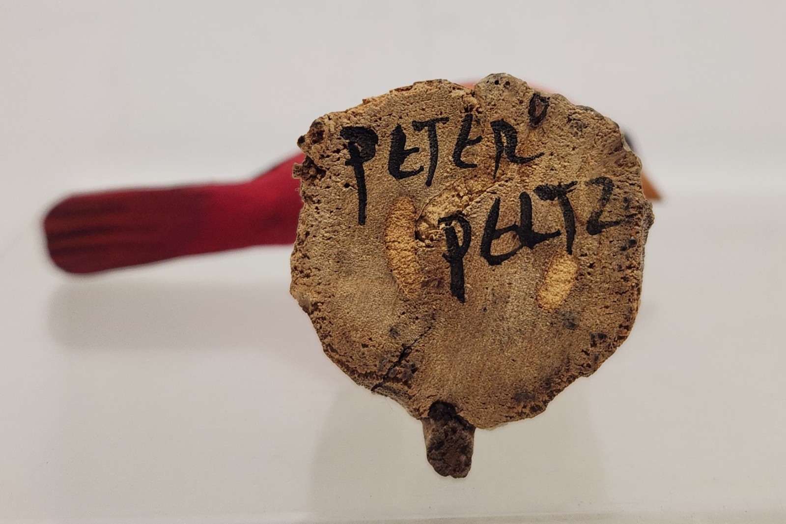 Peter Peltz Small Cardinal Carved Bird Folk Art Wood Decoy Cape Cod