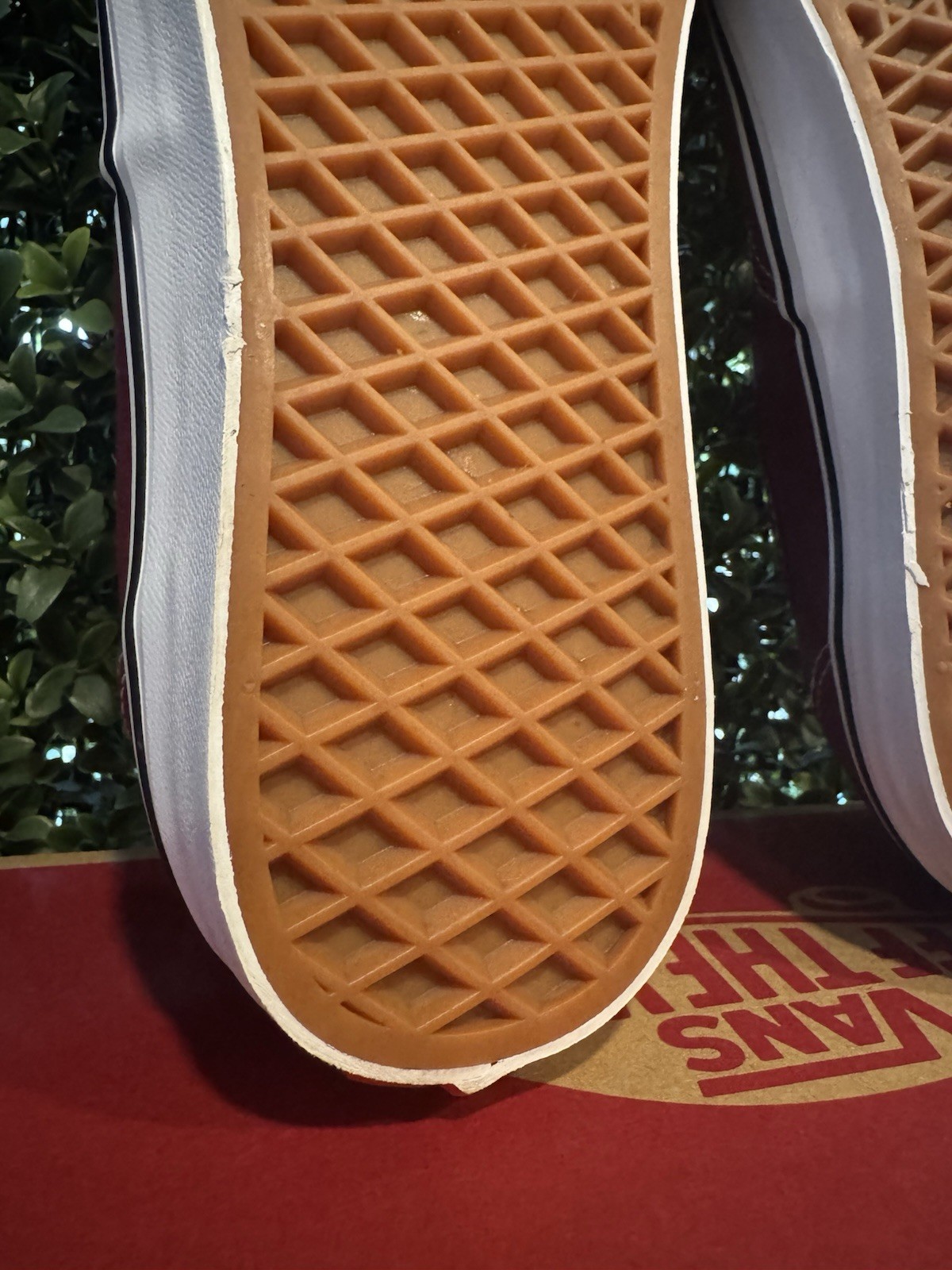 VANS Authentic Color Theory Rhododendron Red VN00… - image 17