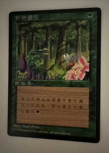 MTG X1 * Wild Growth X1  NM Unplayed Chinese FBB 4th Edition Regular  SellbyCyn - Picture 1 of 6