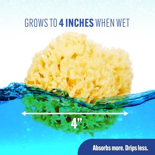 Natural Wool Sea Sponge, Newborn Bath Time Essential, 4 Count (Pack of 1) - Picture 5 of 7
