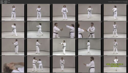 Okinawan Uechi Ryu Karate starring Rod Mindlin (8 DVD Set) - Imagen 4 de 9