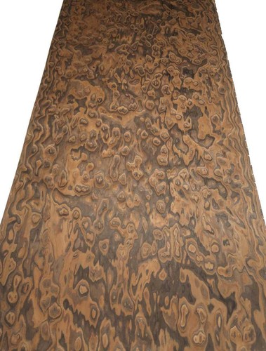 Claro Nussbaum Wurzelholz Furnier SaRaiFo 250x64cm x 0,5mm - Bild 3 von 9