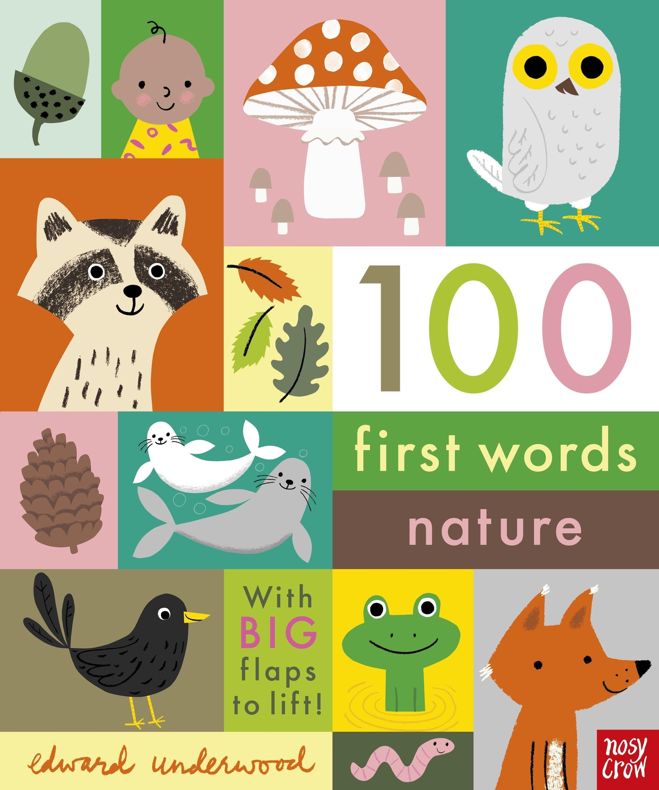Thumbnail - Edward Underwood 100 First Words: Nature 9781788009980