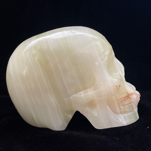 616g Natural Polished Afghan Jade Skull Carving Crystal Mineral Reike Healing F8 - Picture 6 of 11