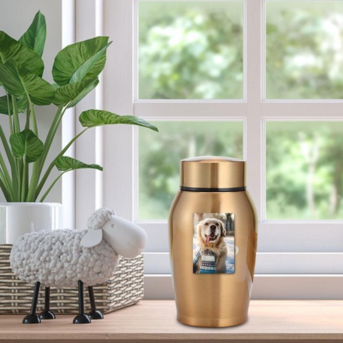 Small Cremation Urn Jar Holder Keepsake for Human Pet Ashes Memorial Funeral Box - Picture 7 of 14