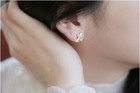 Photo 6/9