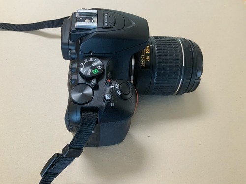 Nikon D5600 + Nikon AF-P DX NIKKOR 18-55mm VR + Nikon AF-S DX NIKKOR 85mm VR +++ - Picture 12 of 12