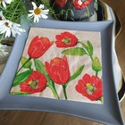 Bild 5 von 10
