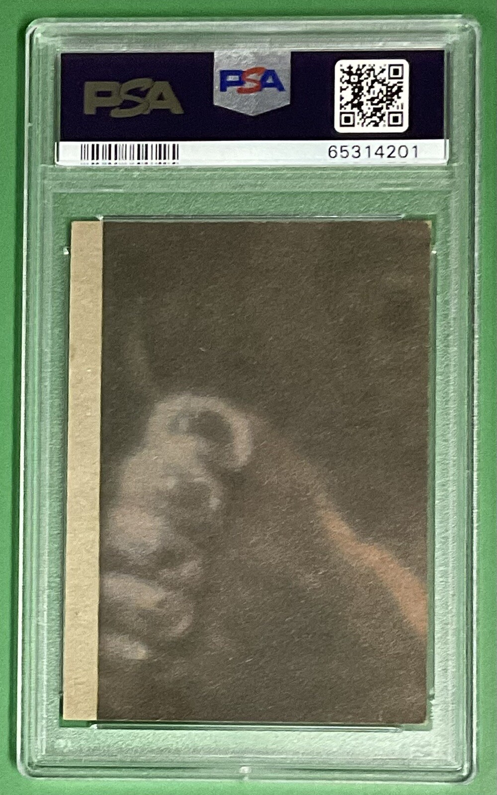 Picture 2 of 13