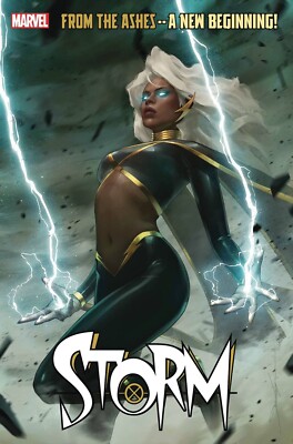 Promo Book Marvel Comics　 #STORM Marvel Comics STORM #1 (September 2014) Greg Pak Victor