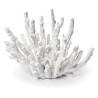 Abbott Collection 20-SEASHORE/45 Small White Finger Coral Decorative Resin Fi...
