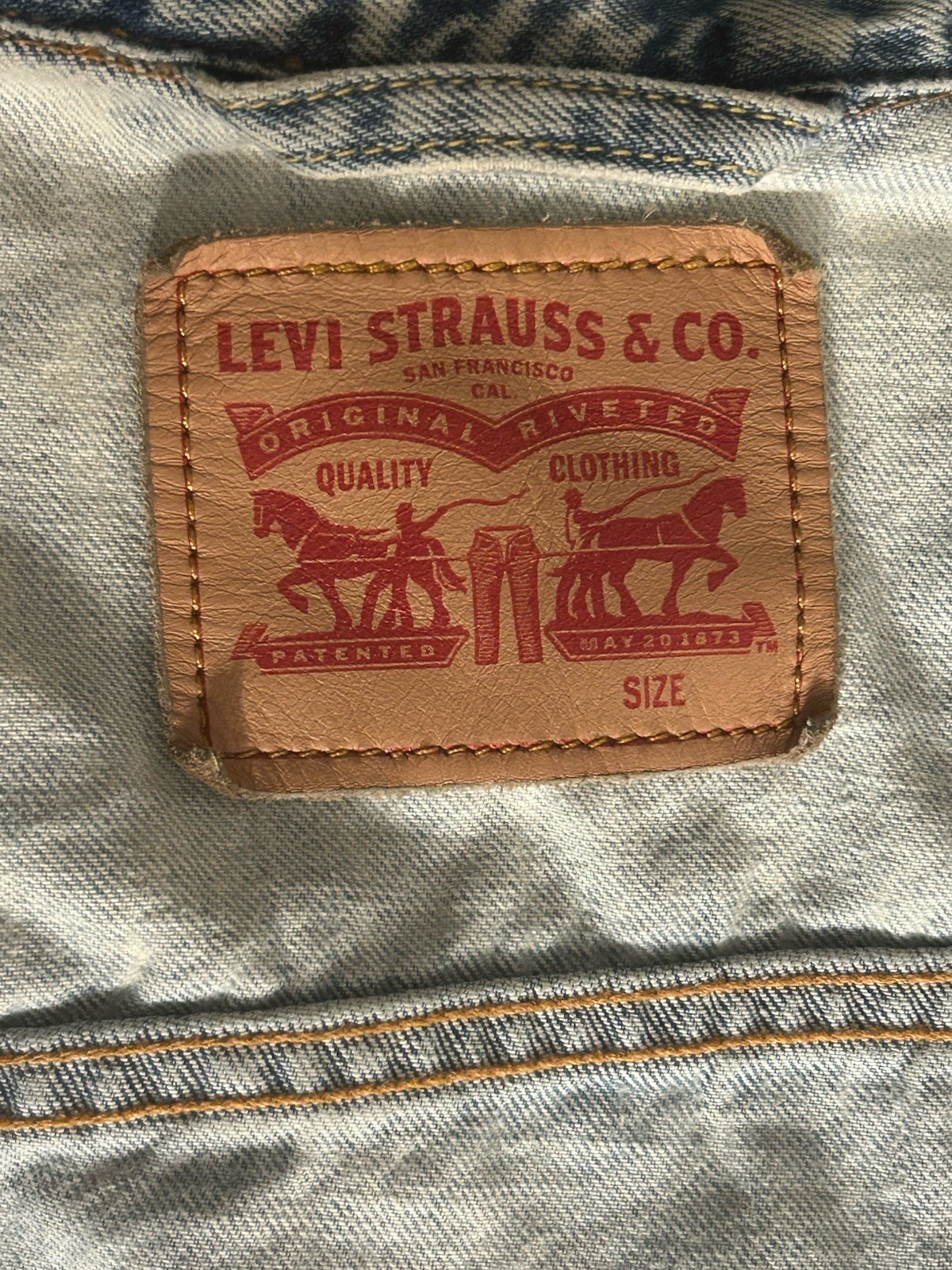 Picture 5 of 11