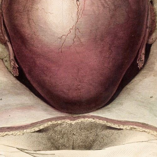 MASTERPIECE 1822 JOHN LIZARS Hand-Color Folio Engraving PL VII, GRAVID UTERUS - Picture 3 of 6