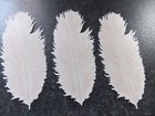 3 PRECUT Large Edible White Ostrich/Burlesque Feather wafer paper cake topper