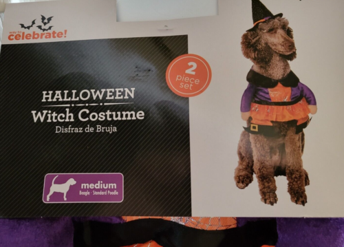 Way To Celebrate! Dog Halloween Costume Witch 2 Piece Set Medium NWT 14-20 Inch - Picture 3 of 3
